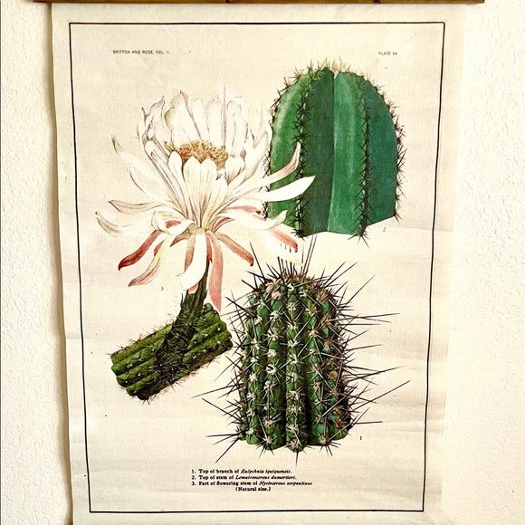 Cactus Scroll Wall Hanging - Picture 2 of 2